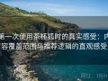 第一次使用茶杯狐时的真实感受：内容覆盖范围与推荐逻辑的直观感受