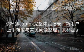 茶杯狐cupfox完整体验记录：新用户上手难度与常见问题整理，茶杯狐a