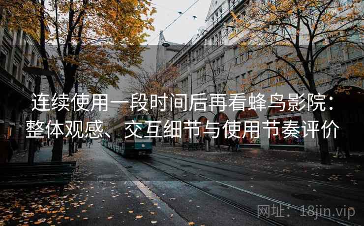 连续使用一段时间后再看蜂鸟影院：整体观感、交互细节与使用节奏评价-第2张图片