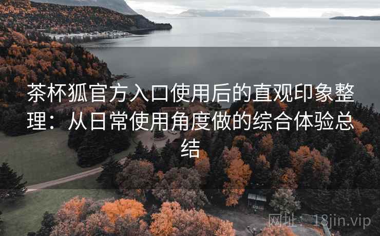 茶杯狐官方入口使用后的直观印象整理：从日常使用角度做的综合体验总结-第2张图片